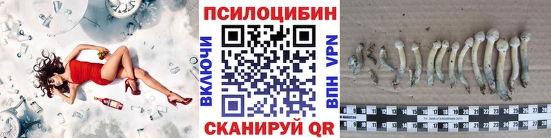 Псилоцибиновые грибы ЛСД Тайга